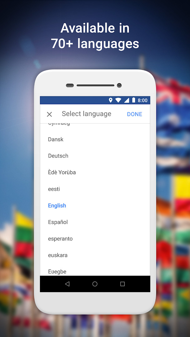 Google Maps Go settings screen with language and map display options