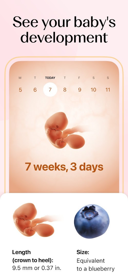Basal body temperature chart for tracking BBT during a trying-to-conceive journey