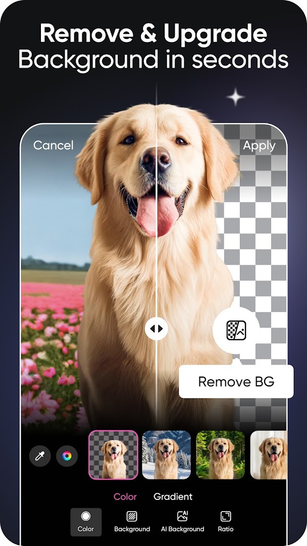 Background remover tool with a portrait cutout and options to change or blur background